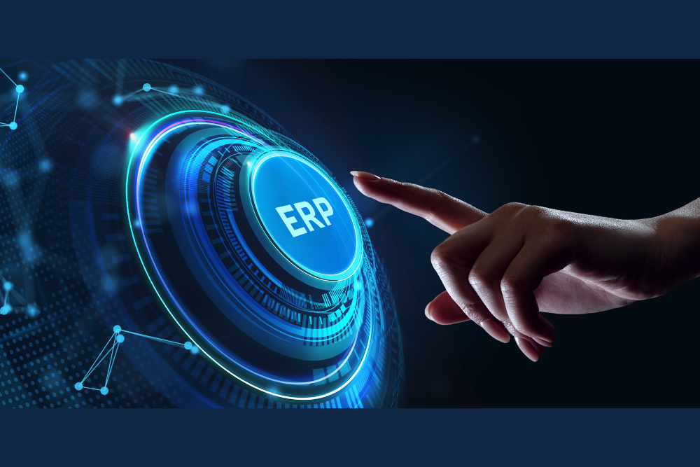 ERP Customization​